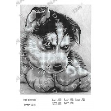 Схема для вышивки бисером "Собака с мячом" (Схема или набор)